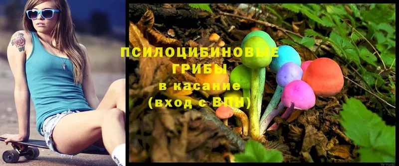 OMG ссылки  Новоаннинский  Галлюциногенные грибы Psilocybine cubensis 